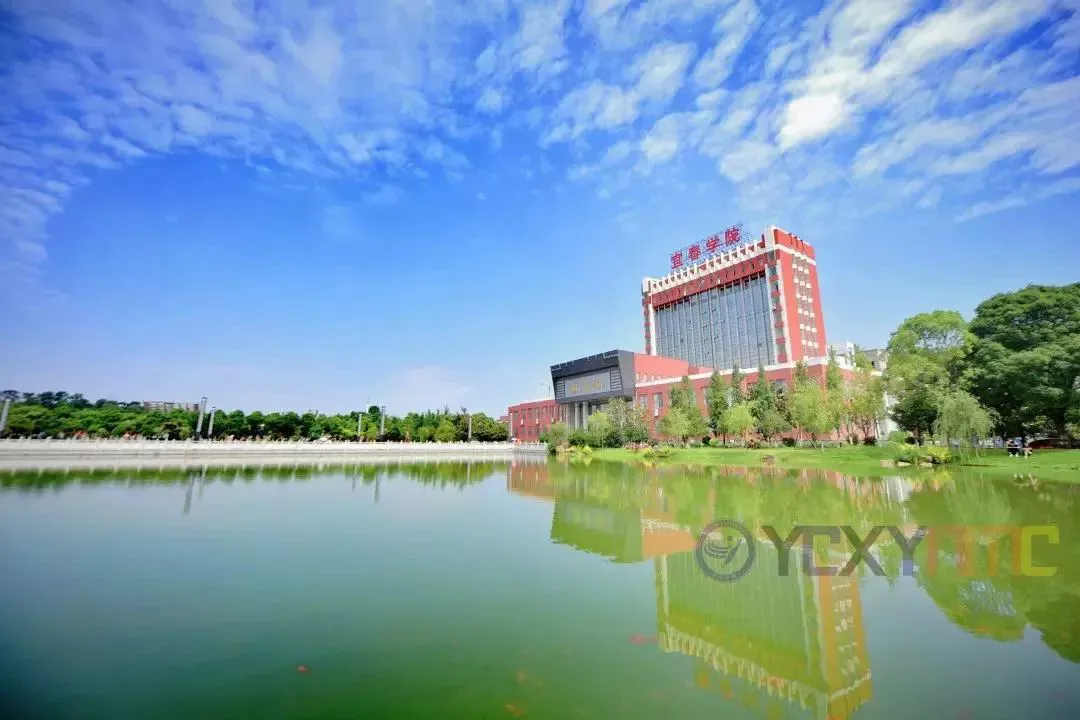 刻苦训练篮球时如何避免受伤的建议_1